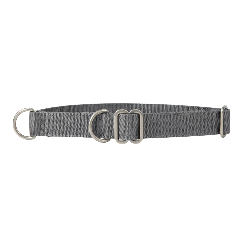 Gray fabric belt with metal buckle and D-ring on black background