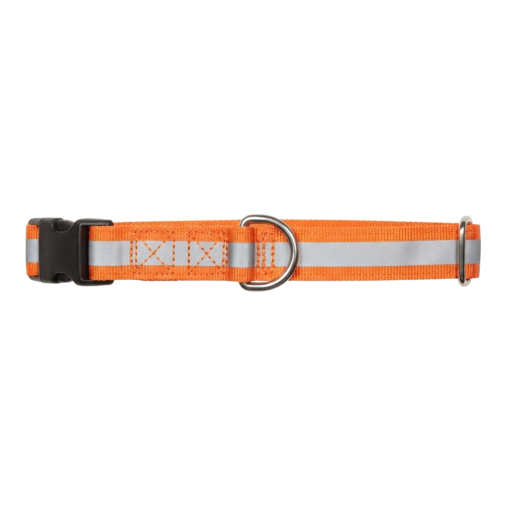 Orange dog collar with reflective stripes and a metal buckle closure