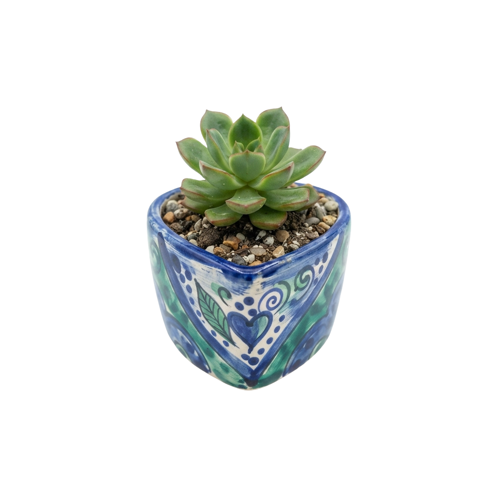 A small succulent plant in a blue and green ceramic pot with decorative patterns