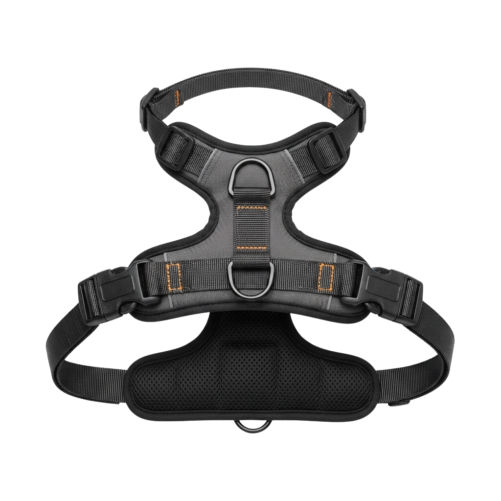 Black dog harness featuring padded chest area and adjustable straps with buckles
