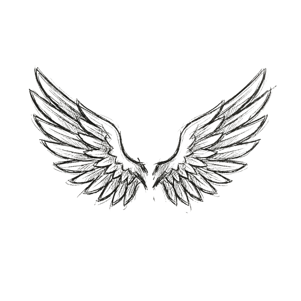 Sketch of symmetrical angel wings drawn in white on a black background