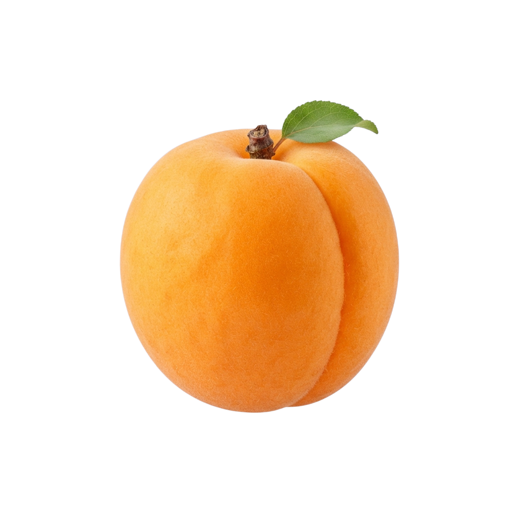 A single ripe orange apricot with a small green leaf attached against a black background