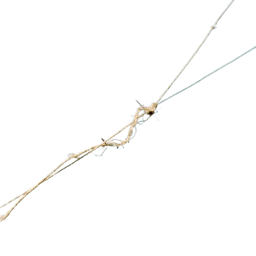 Close-up image of a surgical suture with a tied knot and two loose ends against a dark background
