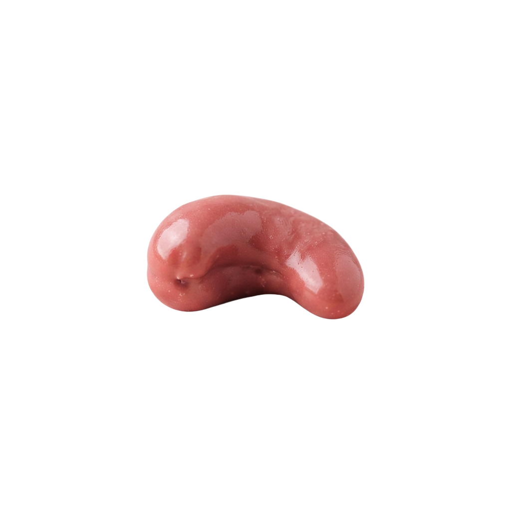 A close-up image of a smooth, pinkish, bean-shaped object against a black background