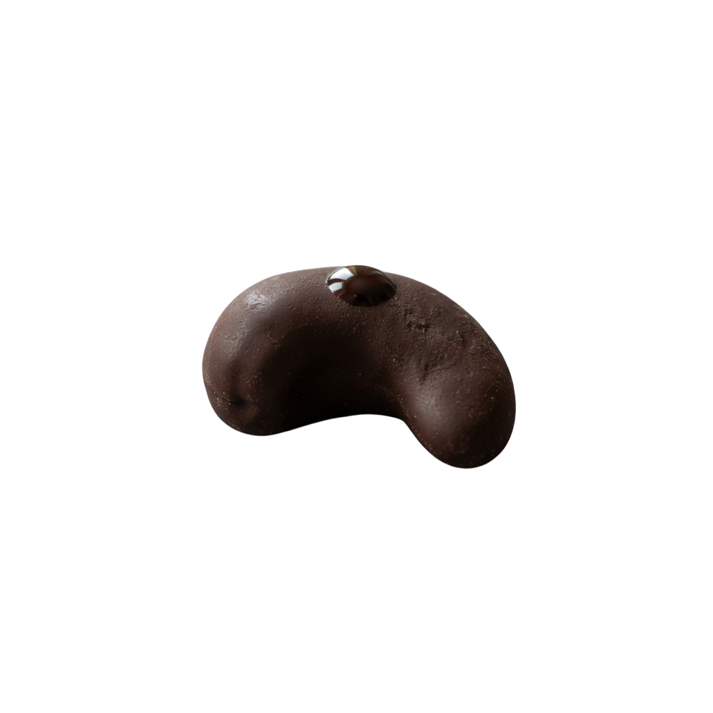 A close-up view of a dark brown, kidney-shaped bean or seed against a black background