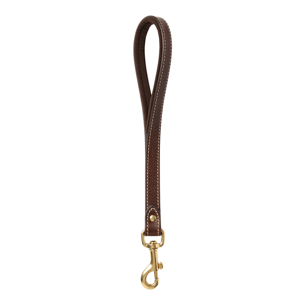 Walk Your Dog Month