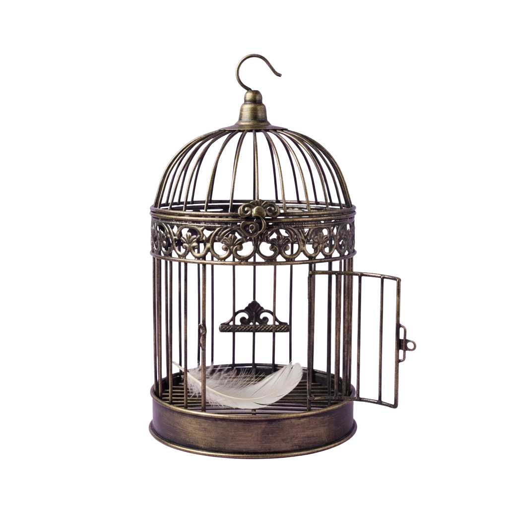 A decorative antique birdcage with intricate designs and a white feather inside
