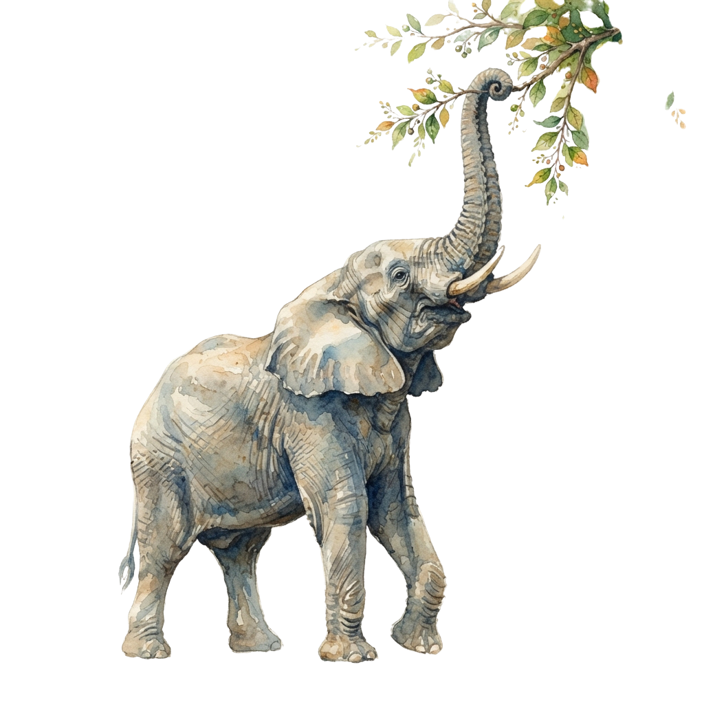 An elephant reaching up with its trunk to eat leaves from a tree branch