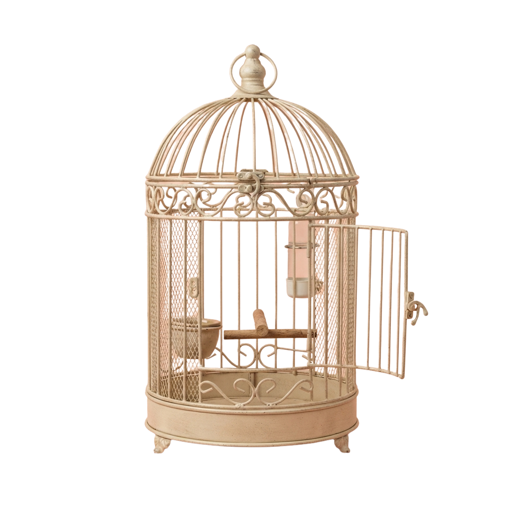 A cream-colored decorative birdcage with intricate metalwork and a domed top, featuring an open door and perches inside