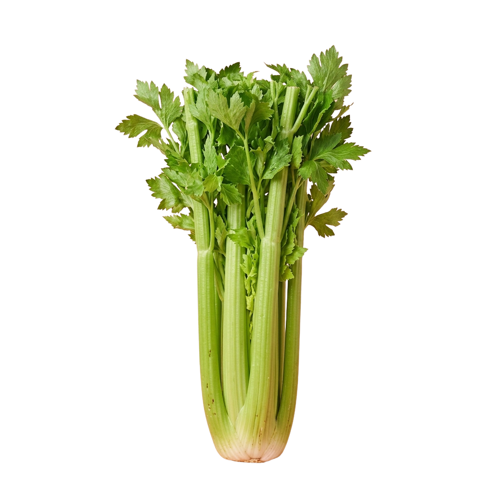 Fresh Organic Celery Bundle Close Up View - National Celery Month 8