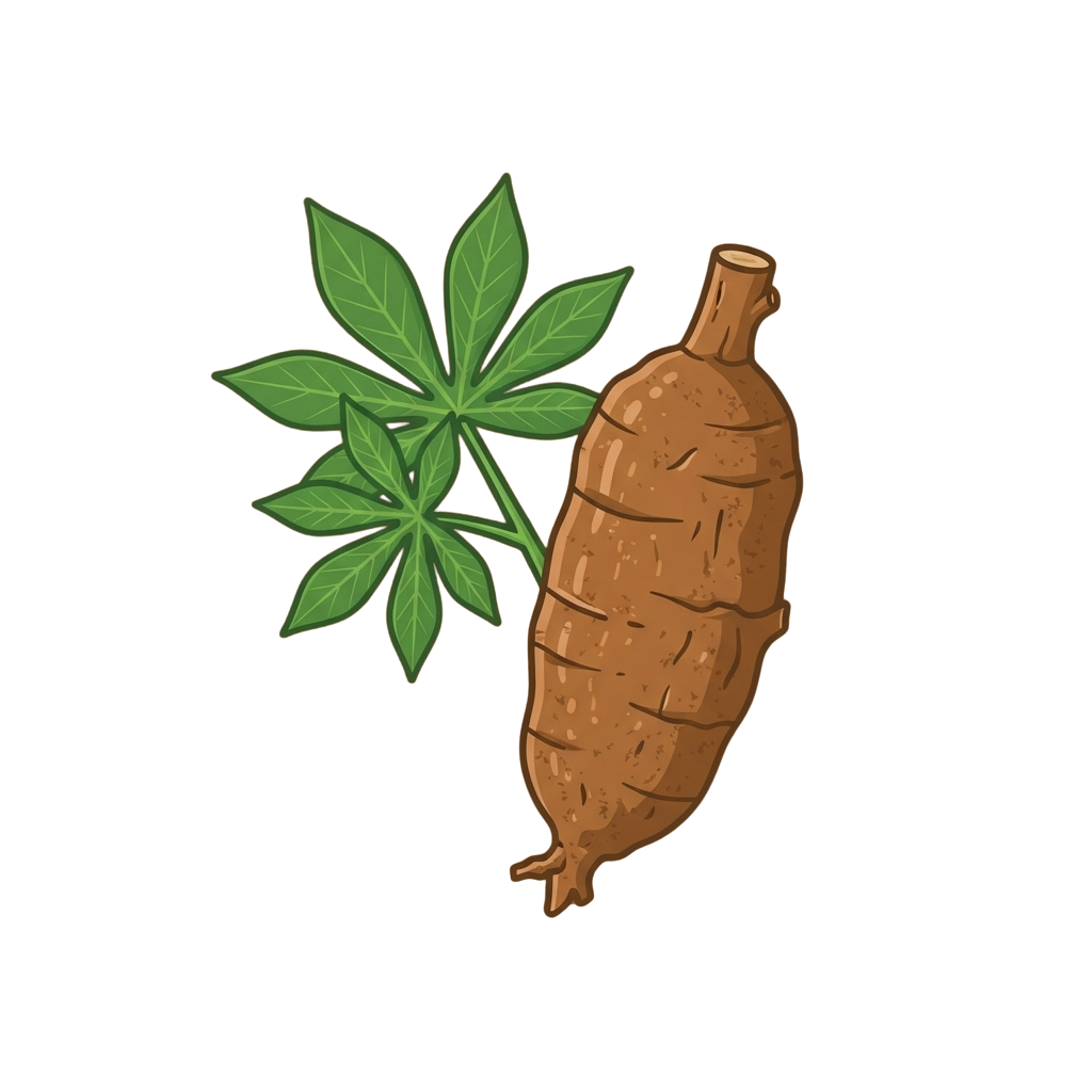 Illustration of star anise root and green leaves against a black background