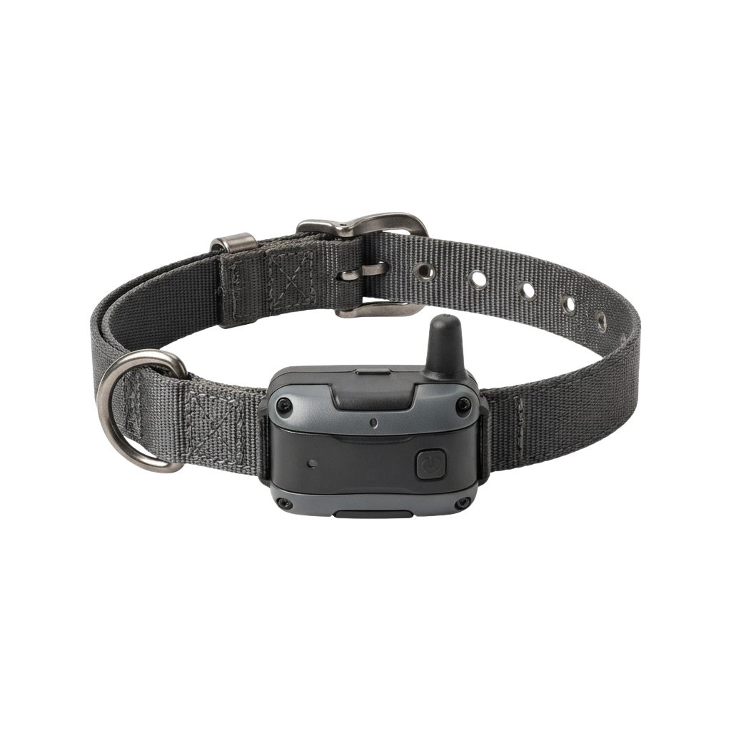 A gray GPS pet tracker device attached to a black nylon adjustable dog collar with a metal ring.