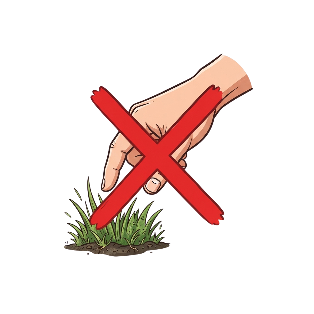 Hand holding a cigarette crossed out over a patch of grass