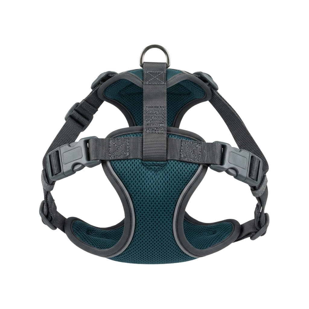 A dog harness featuring gray straps, adjustable buckles, and teal mesh padding for comfort and support