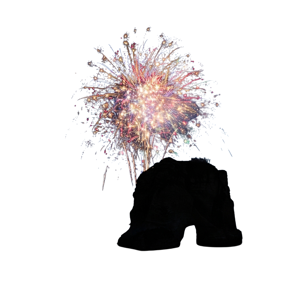 Bright fireworks exploding with colorful sparks in a dark sky