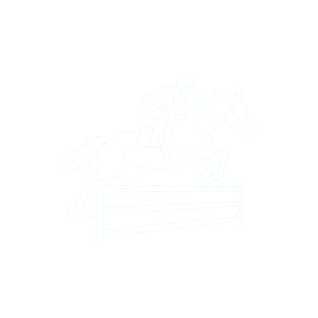 Line drawing of a rider on a horse jumping over a hurdle in an equestrian event