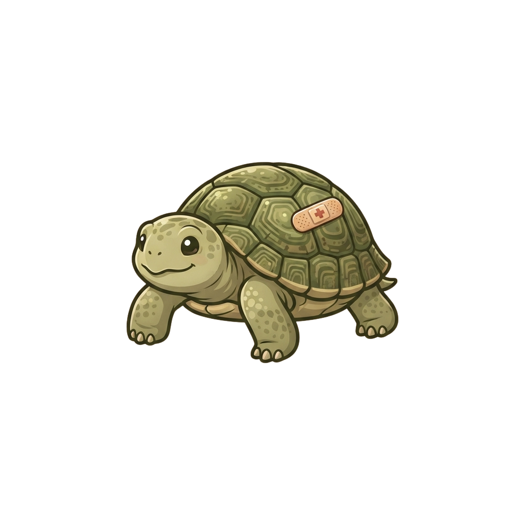 A cheerful cartoon tortoise with a small red bandage on its shell