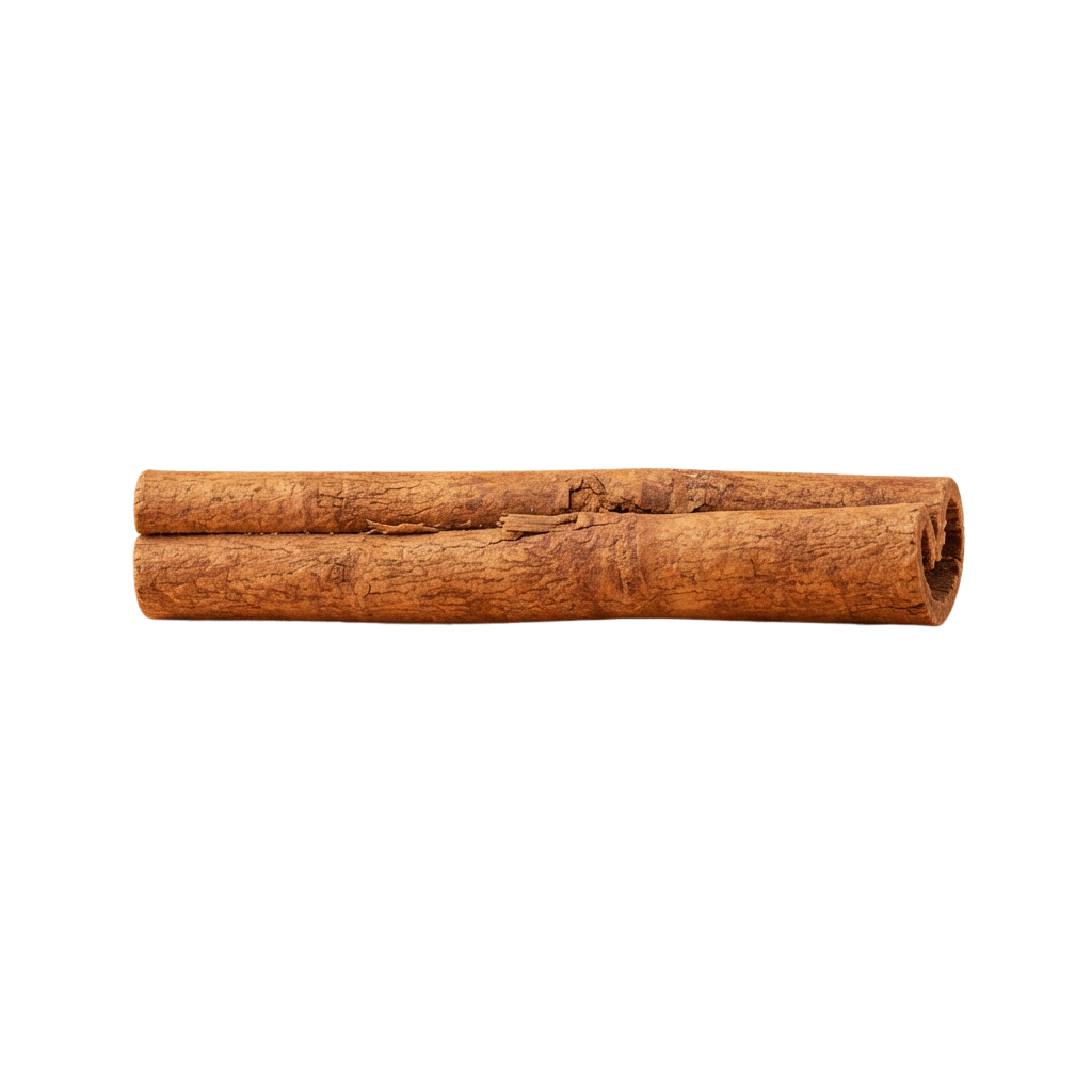 Aged, rolled parchment or papyrus scroll with visible wear and cracks.