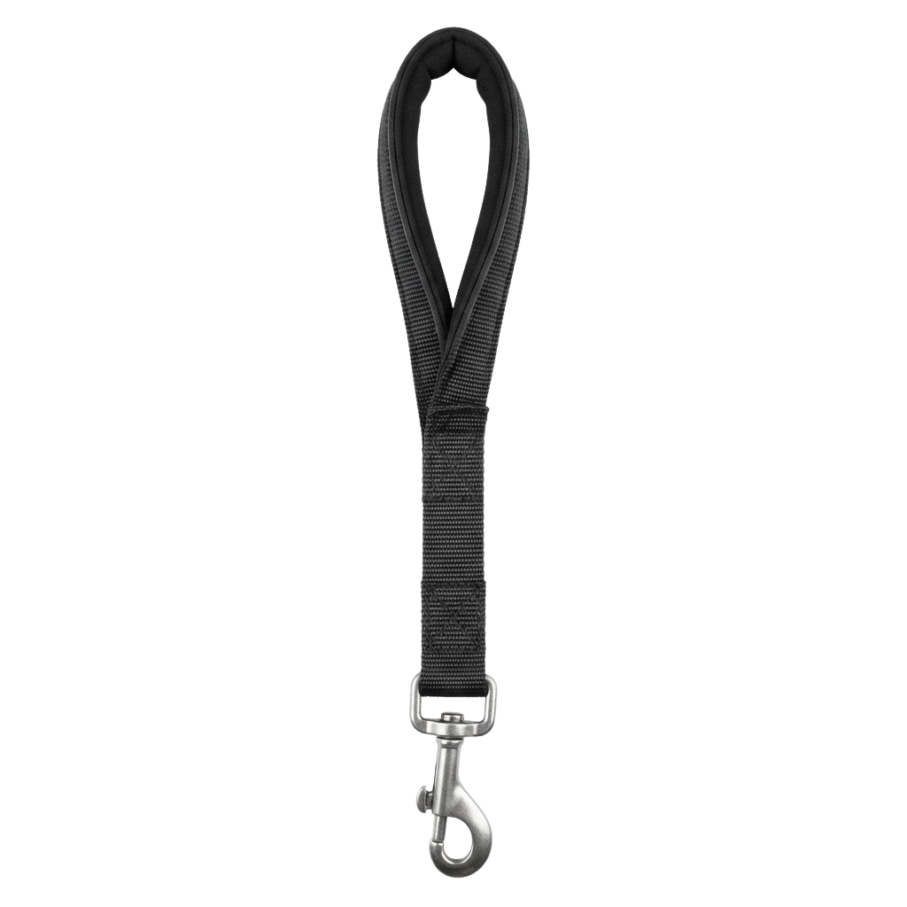 Black dog leash with a metal carabiner clip attached to the end