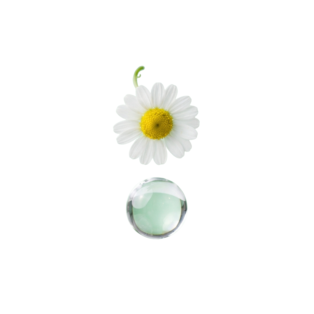 A white daisy flower with a yellow center and a water droplet below it against a black background