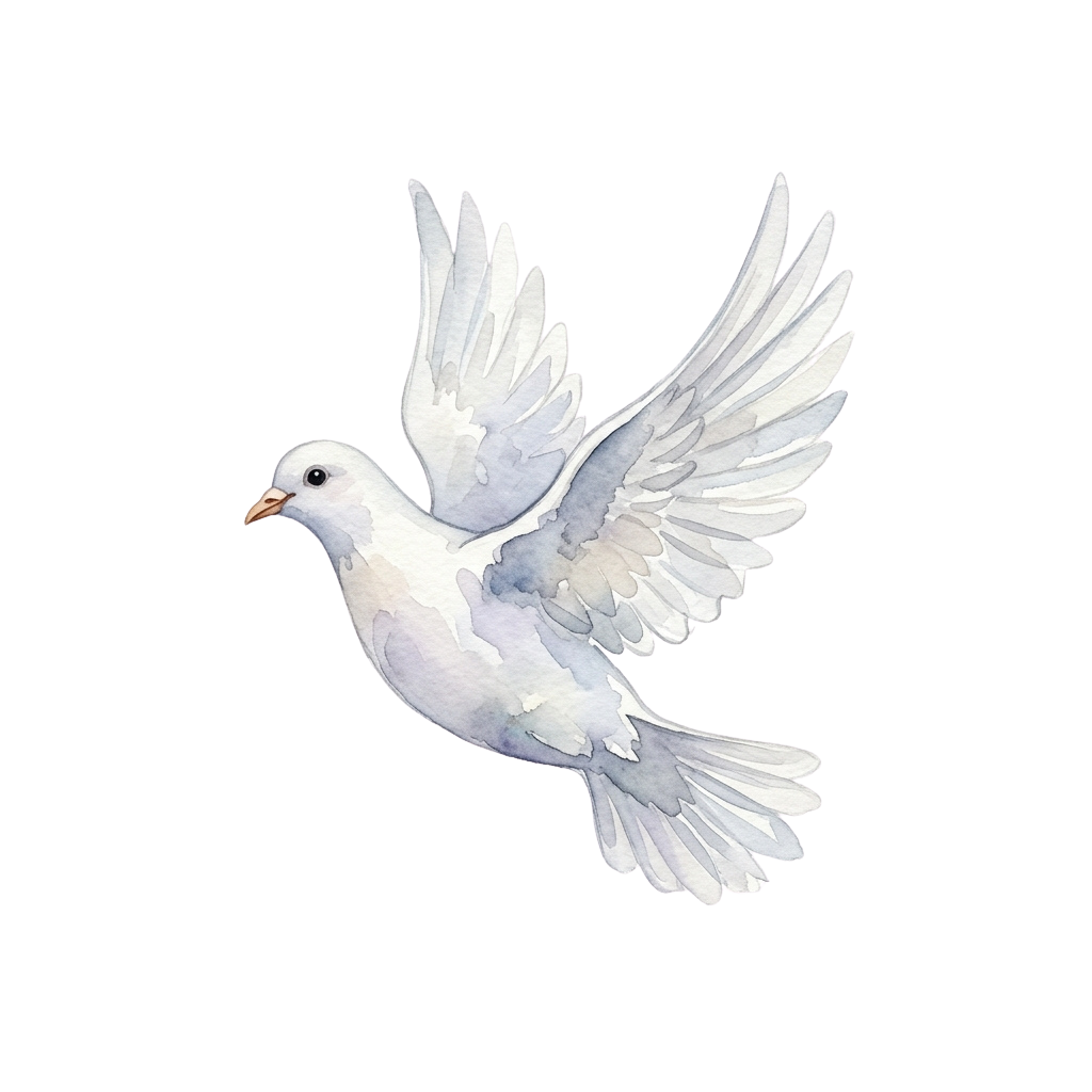 A white dove with outstretched wings flying against a black background