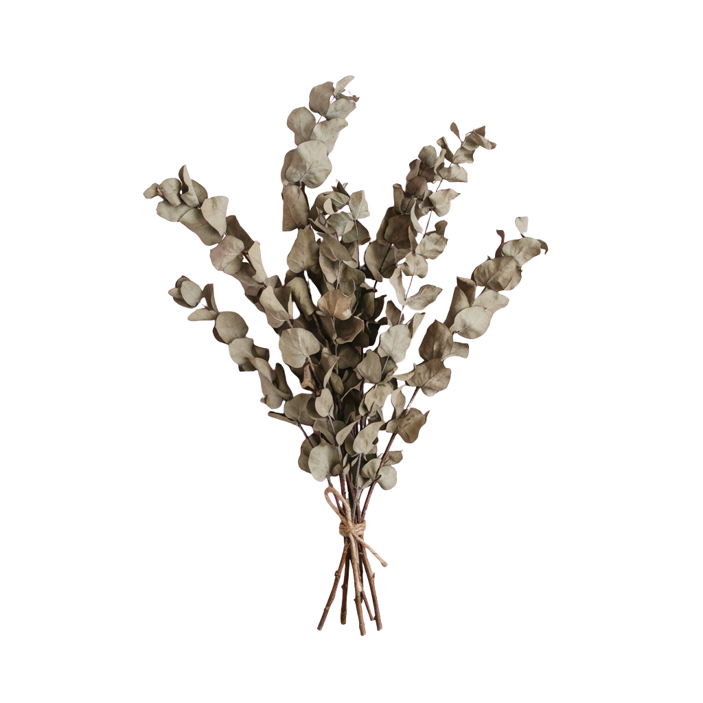 A dried flower bouquet tied with twine against a black background