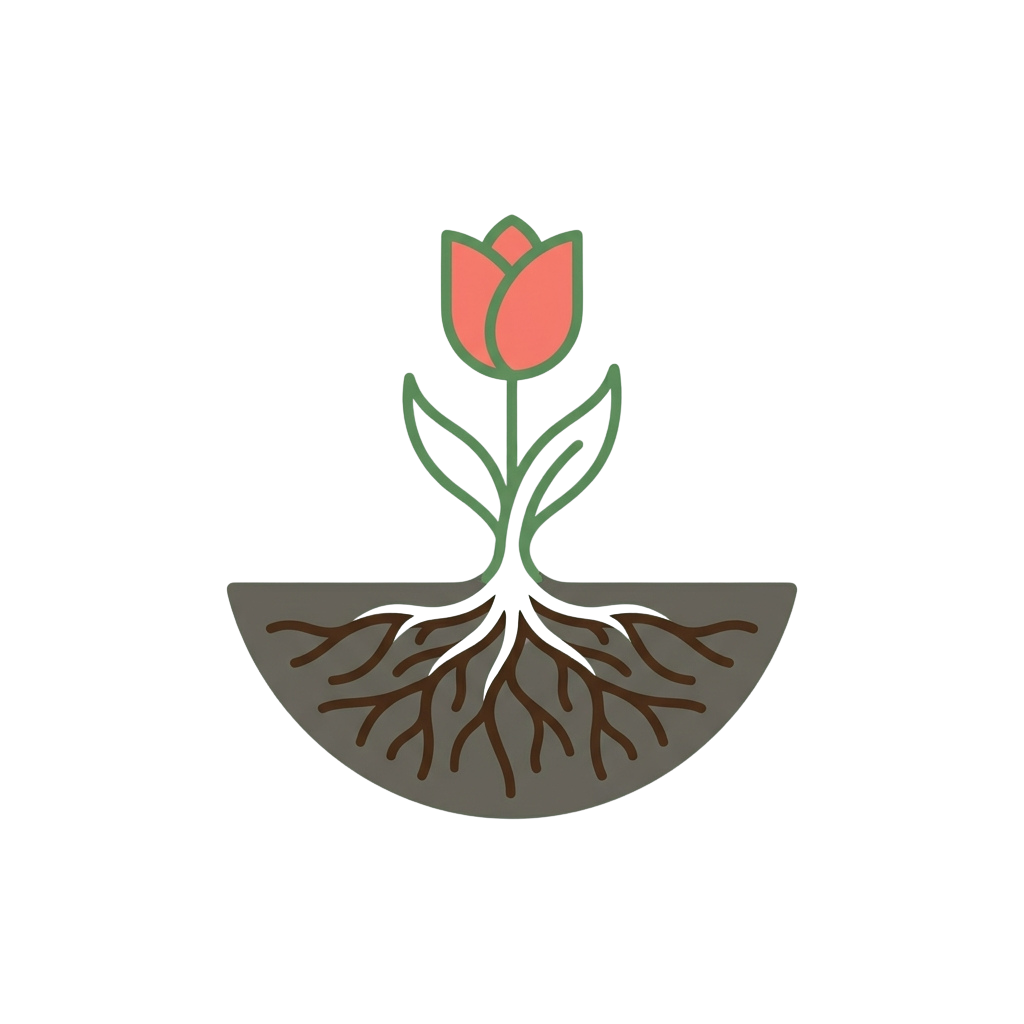 A stylized drawing of a tulip plant with green leaves, pink flower, and brown roots in soil