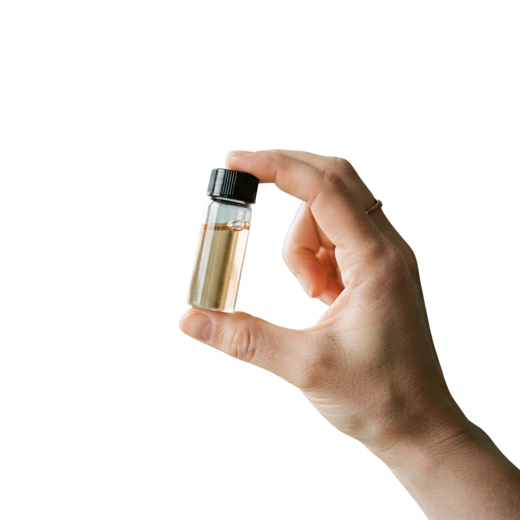 World Homeopathy Day