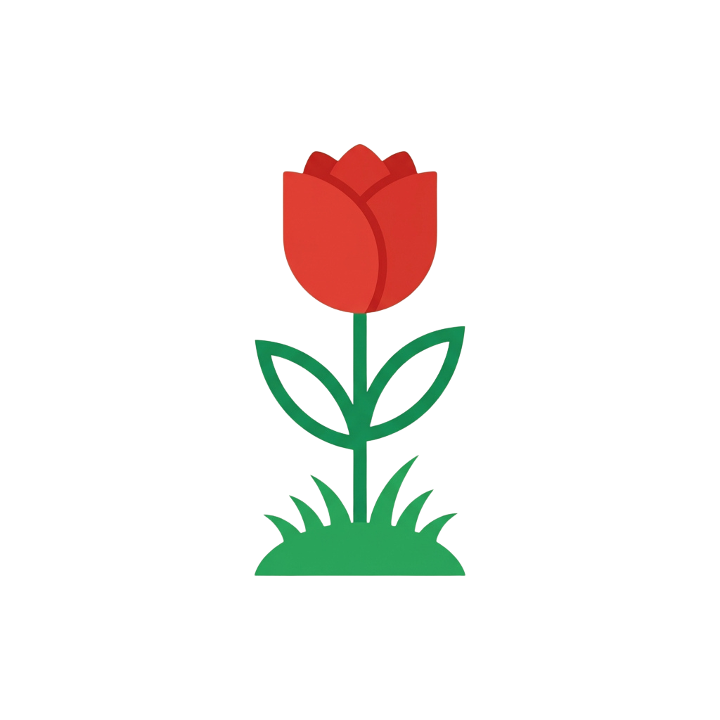 Red tulip flower with green leaves and stem on black background