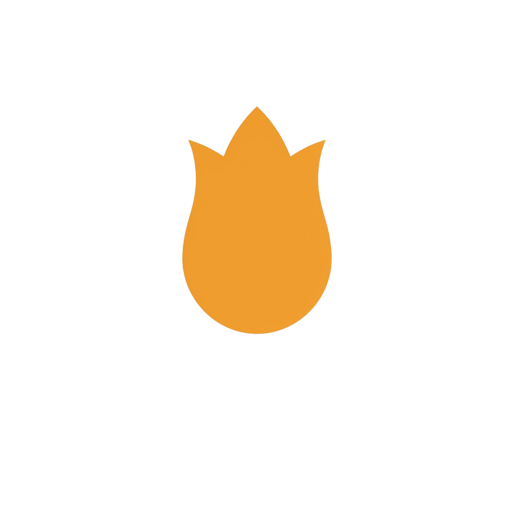 An orange bomb shape with a pointed top against a black background