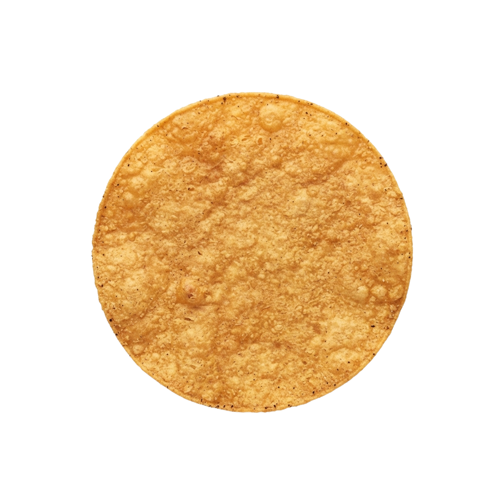 A close-up image of a golden-brown, round tortilla chip with a textured surface