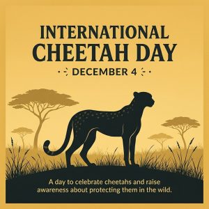 International Cheetah Day