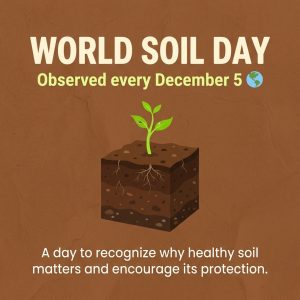 World Soil Day