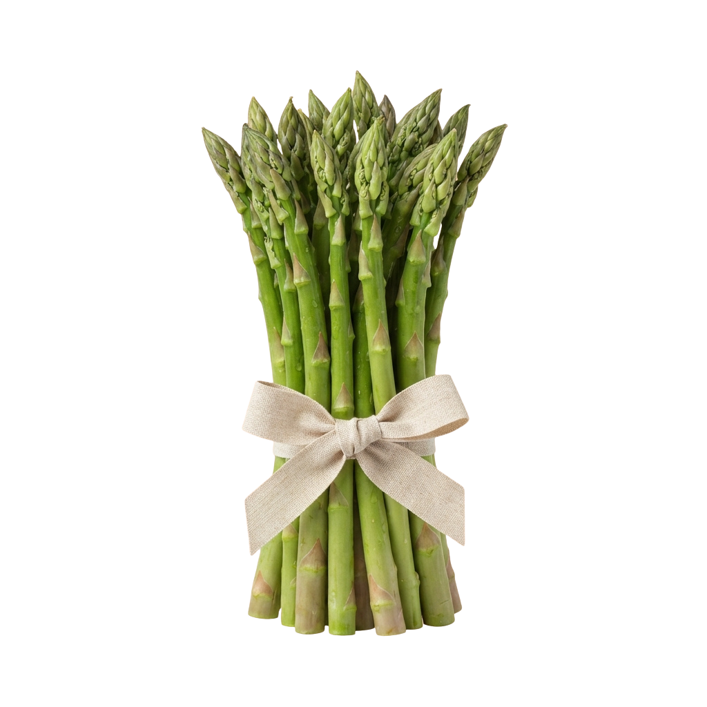 A bundle of fresh green asparagus spears tied with a light-colored ribbon.