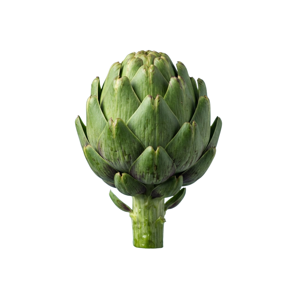 A close-up image of a fresh green globe artichoke with visible leaves and stem