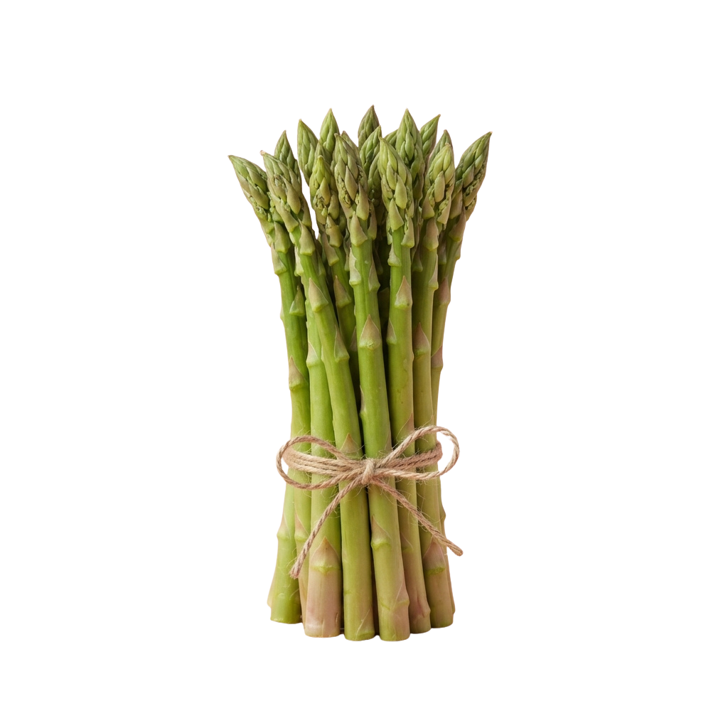A bundle of fresh green asparagus stalks tied together with natural twine against a black background