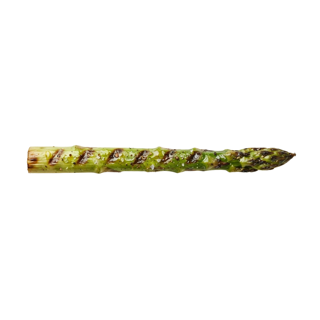 Single asparagus spear with green tips and light brown base laid horizontally