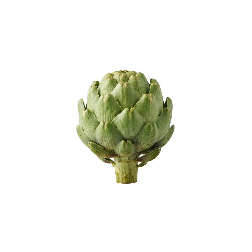 A whole green artichoke with tightly packed leaves and a light brown stem.