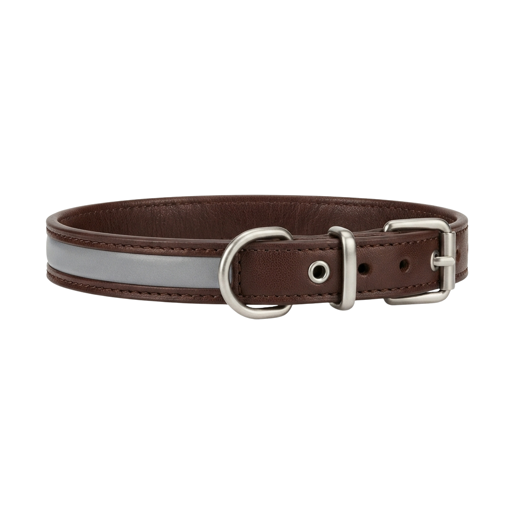 Brown leather dog collar featuring a silver metal buckle and D-ring.