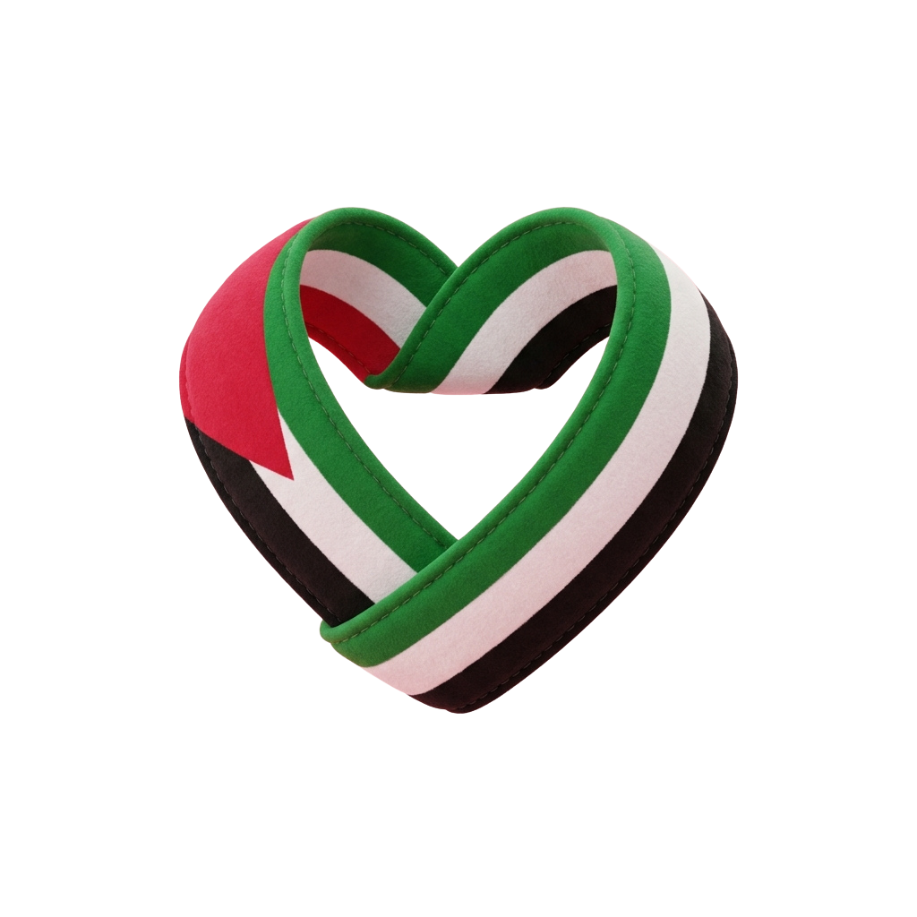 Heart-shaped cookie decorated with Palestinian flag colors