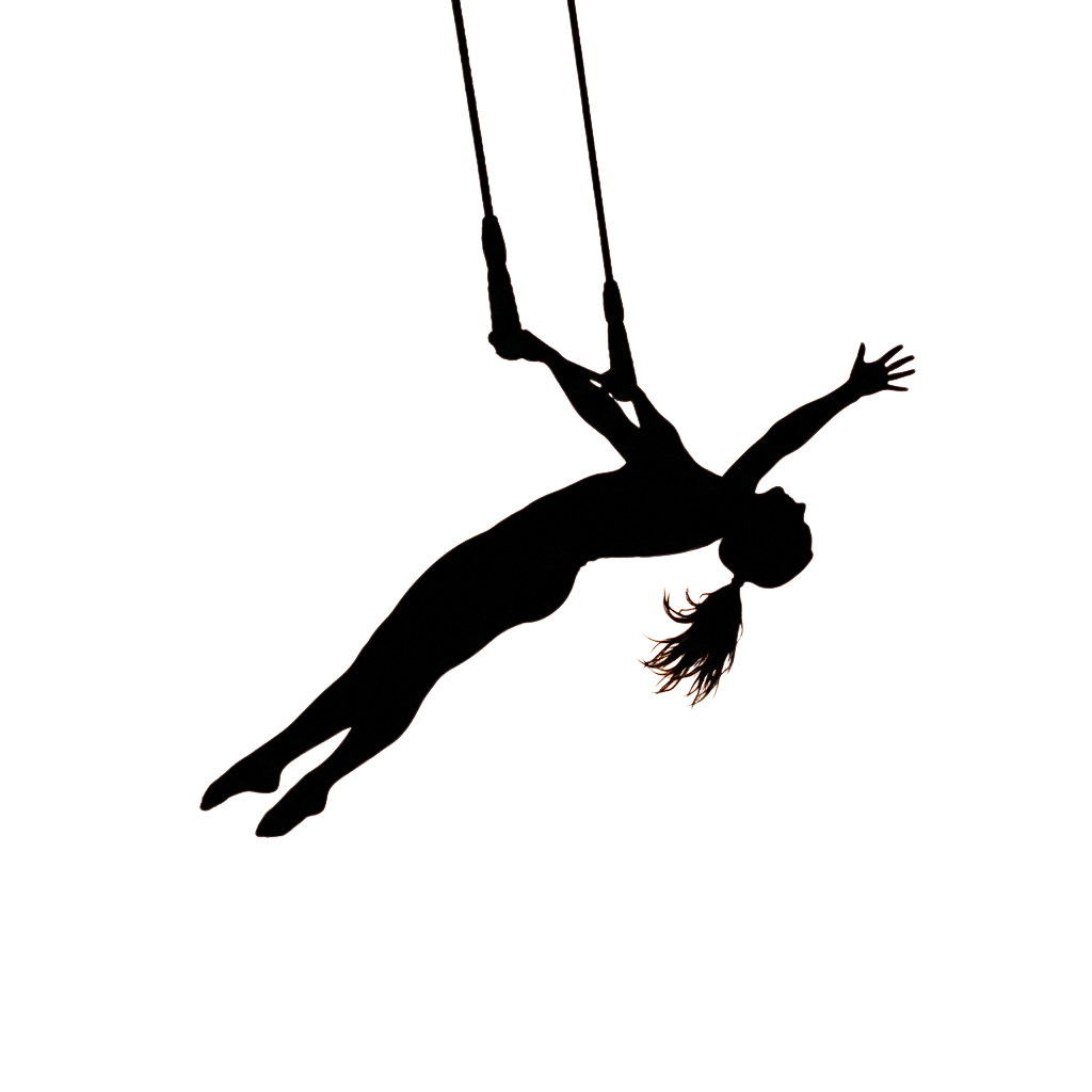 Silhouette of a person upside down in mid-air performing an aerial trick with legs spread and arms extended.