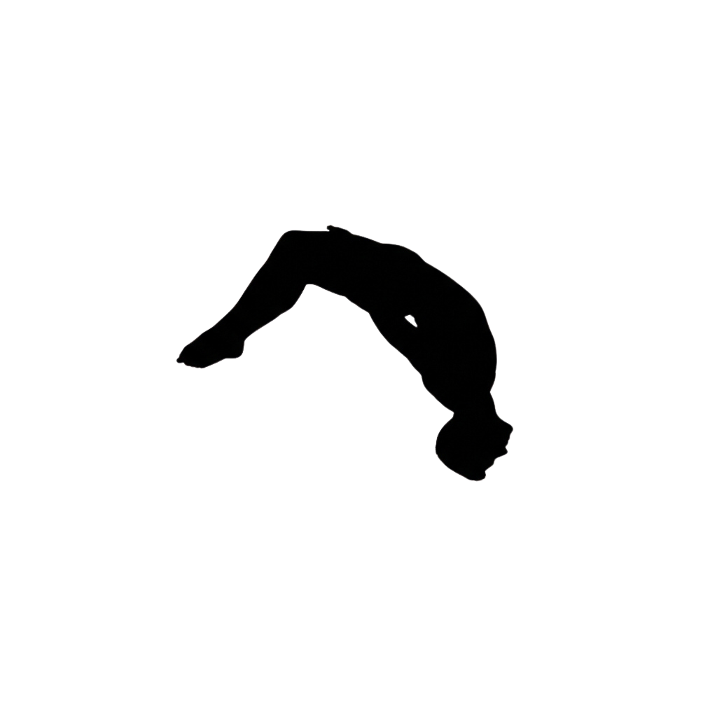 Simple outline of a country's border on a black background