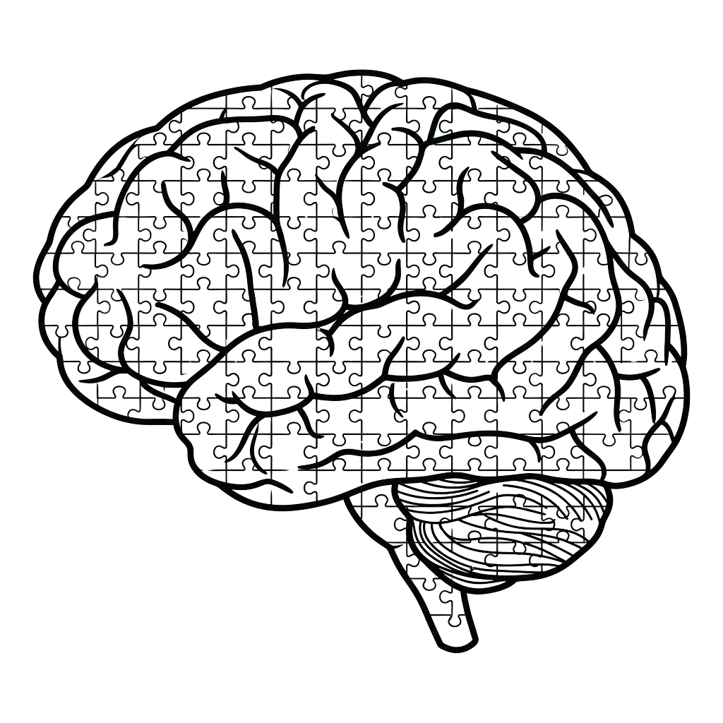 A detailed line drawing of a human brain showcasing intricate neural circuitry patterns.