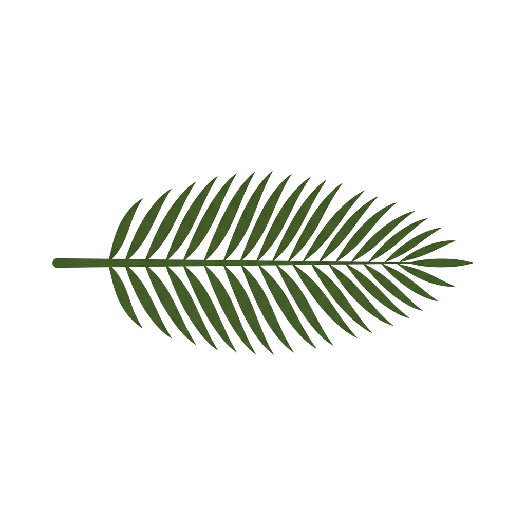 A single green fern leaf with parallel veins on a black background