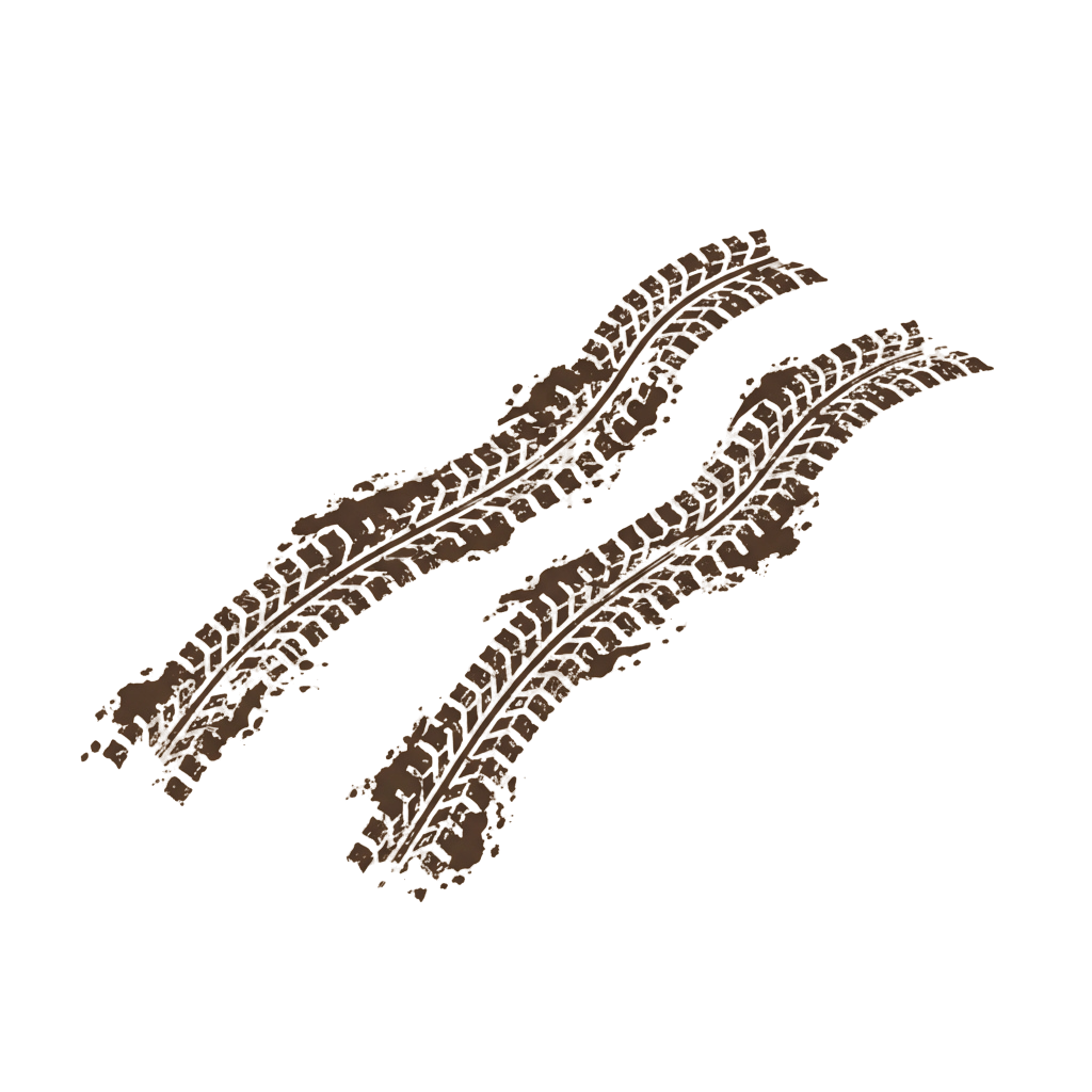 A three-dimensional rendering of two intertwined brown chromosome structures against a black background