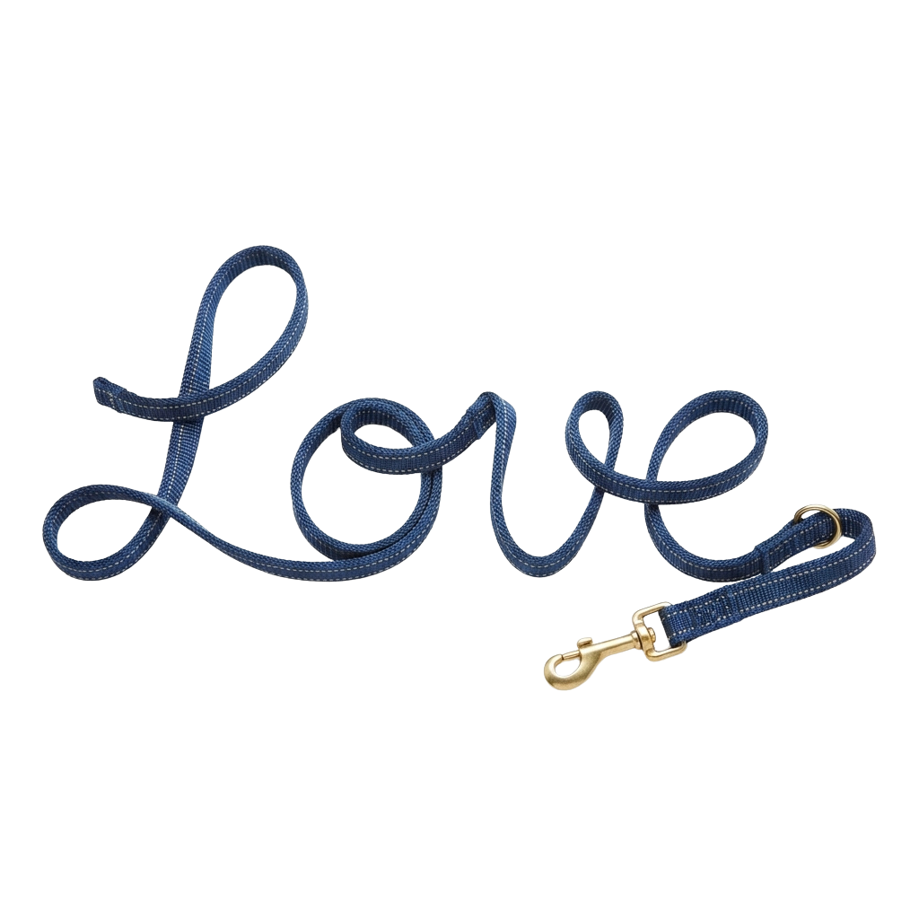 A blue nylon dog leash with cursive LOVE lettering and a gold-colored metal carabiner.