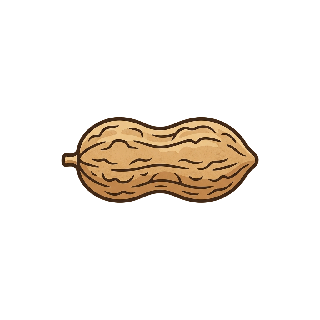 A single peanut with a textured shell shown in brown against a black background