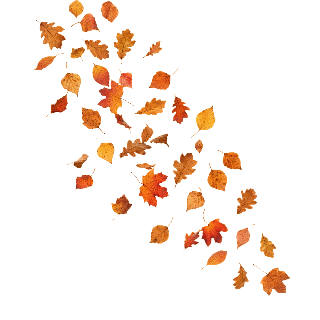 Scattered autumn leaves in various shades of orange and yellow against a black backdrop