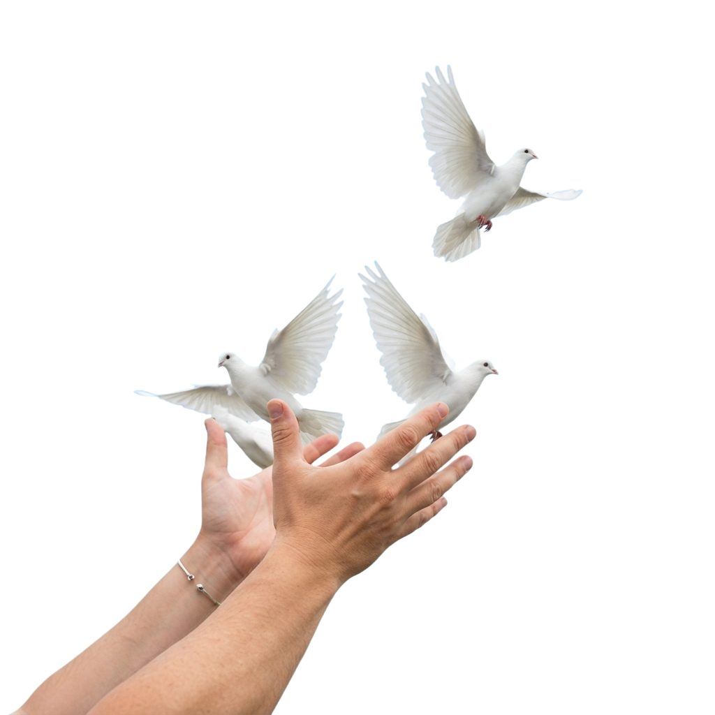 Two hands releasing three white doves into the air against a black background