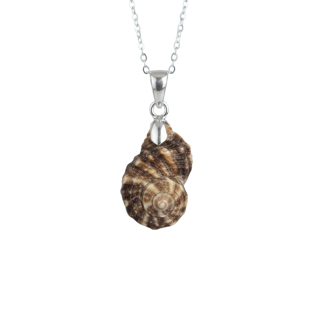 A silver chain necklace with a spiral seashell pendant hanging from it